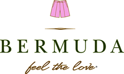 Bermuda Logo