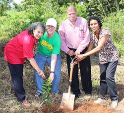 Tree Planting