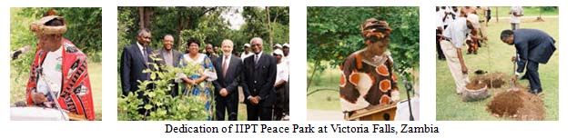 IIPT_Zambia_tree planting