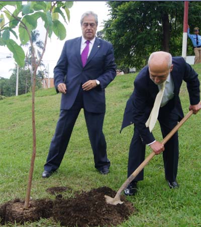 loutreeplanting