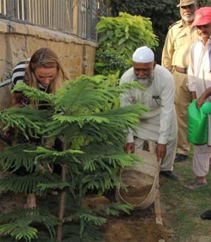 Cassie tree planting in Pakistan