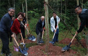 China Tree Planting